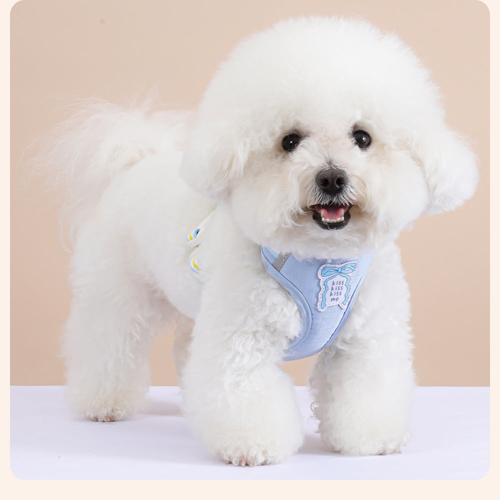 No-pull dog harness and leash set - image 10